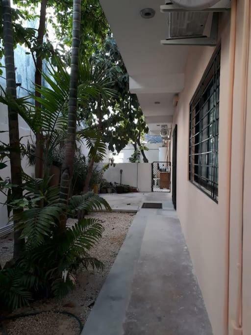 Estudio En Cancun Centro מראה חיצוני תמונה